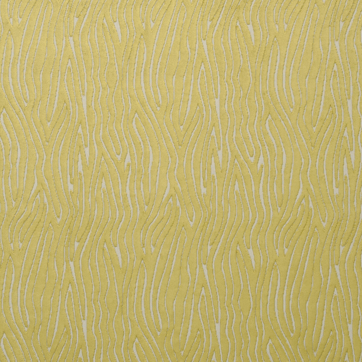Onda-Citrus