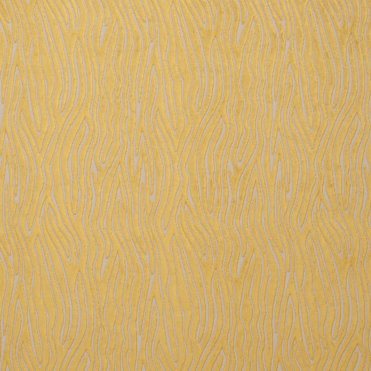 Onda-Gold