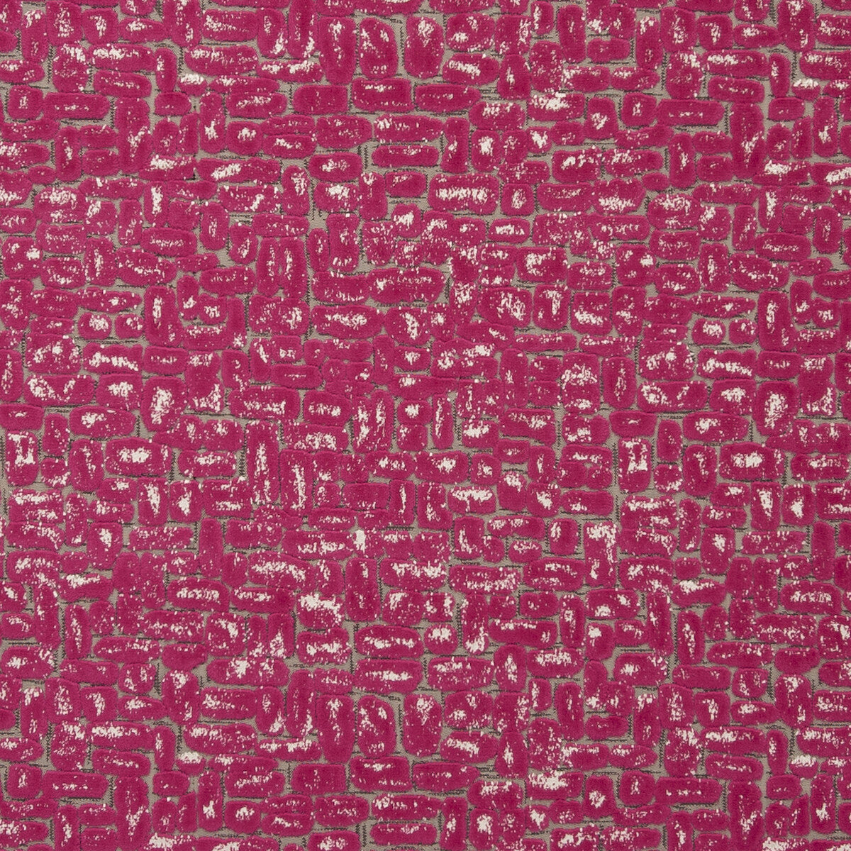 Moda-Fuchsia
