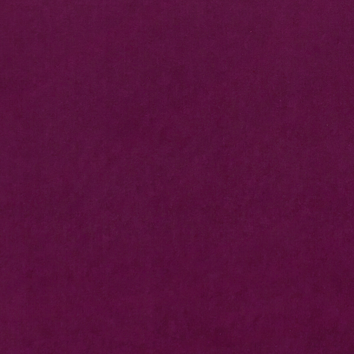 Alvar-Fuchsia