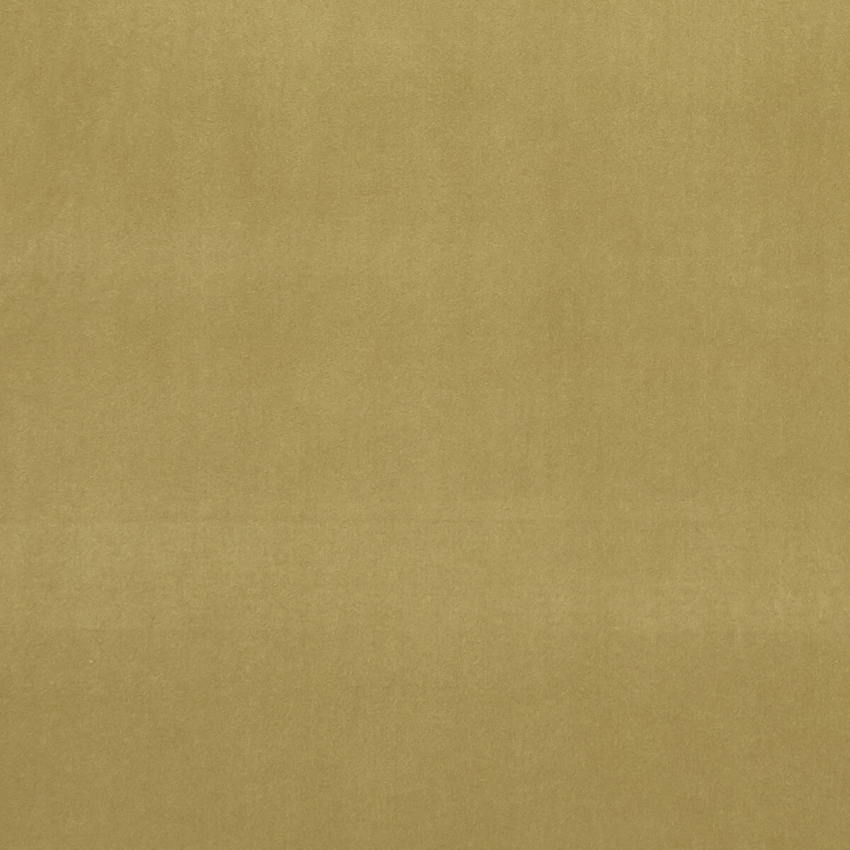 Alvar-Olive