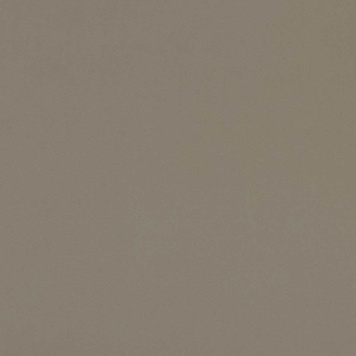 Alvar-Taupe