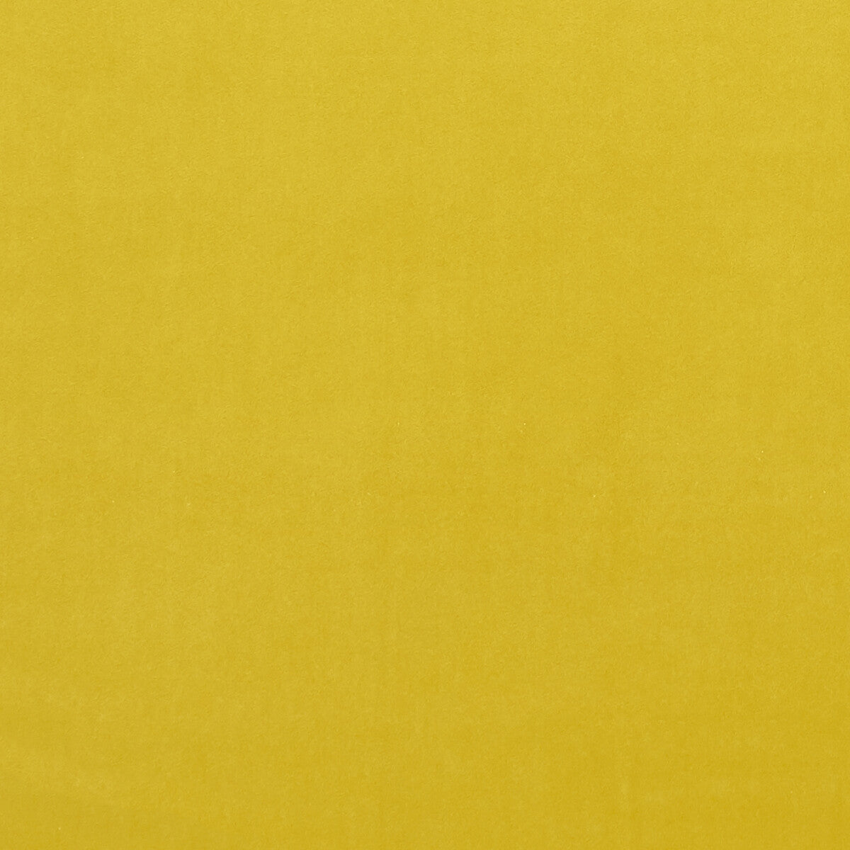 Alvar-Chartreuse