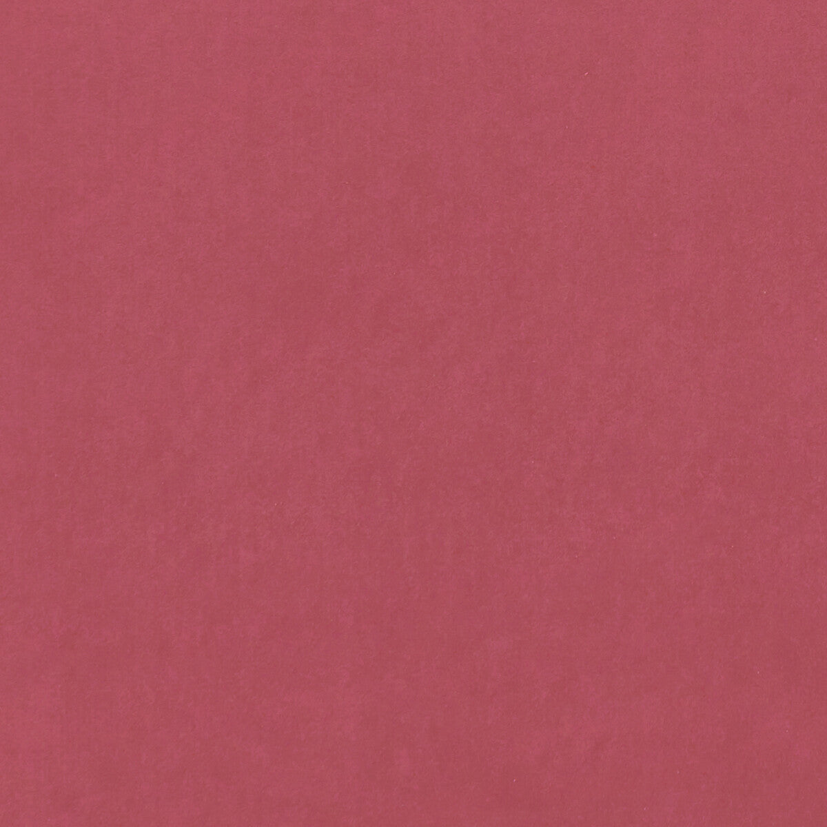 Alvar-Peony