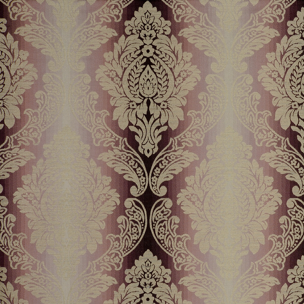 Ornato-Orchid