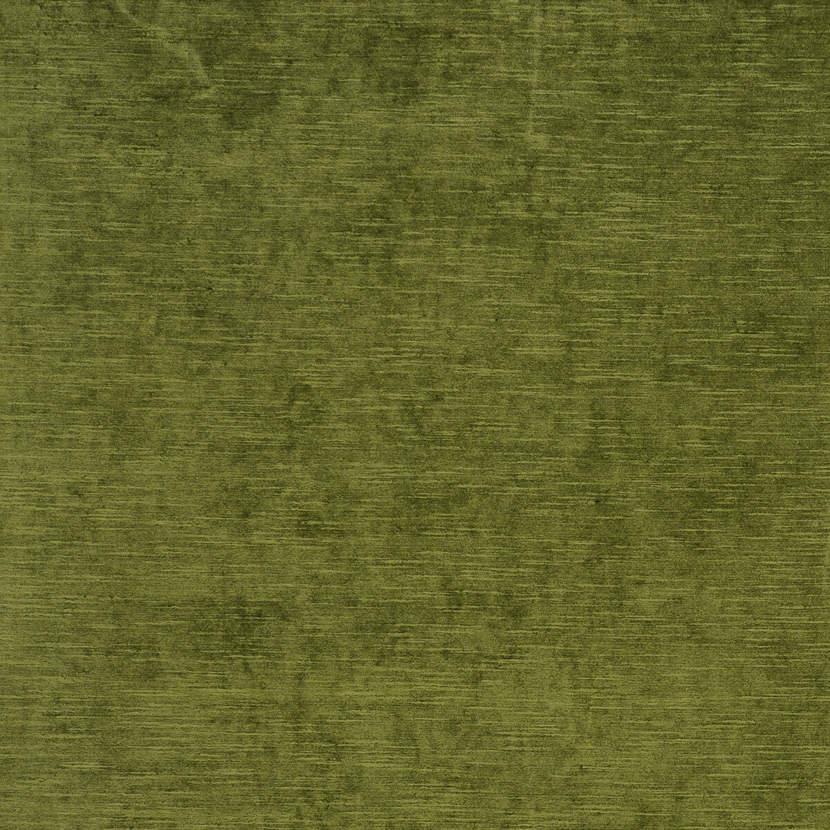 Carlo-Olive