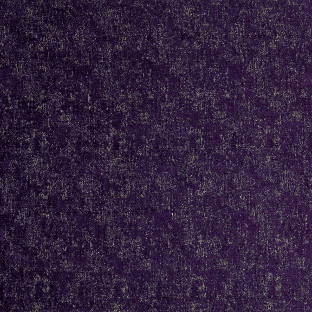Nesa-Purple