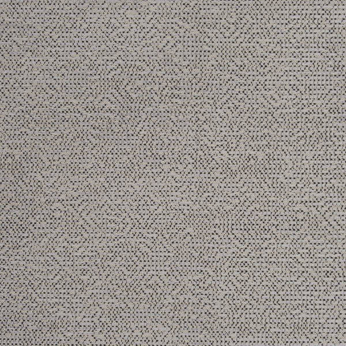 Beauvoir-Charcoal