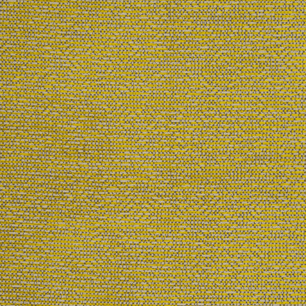 Beauvoir-Citrus