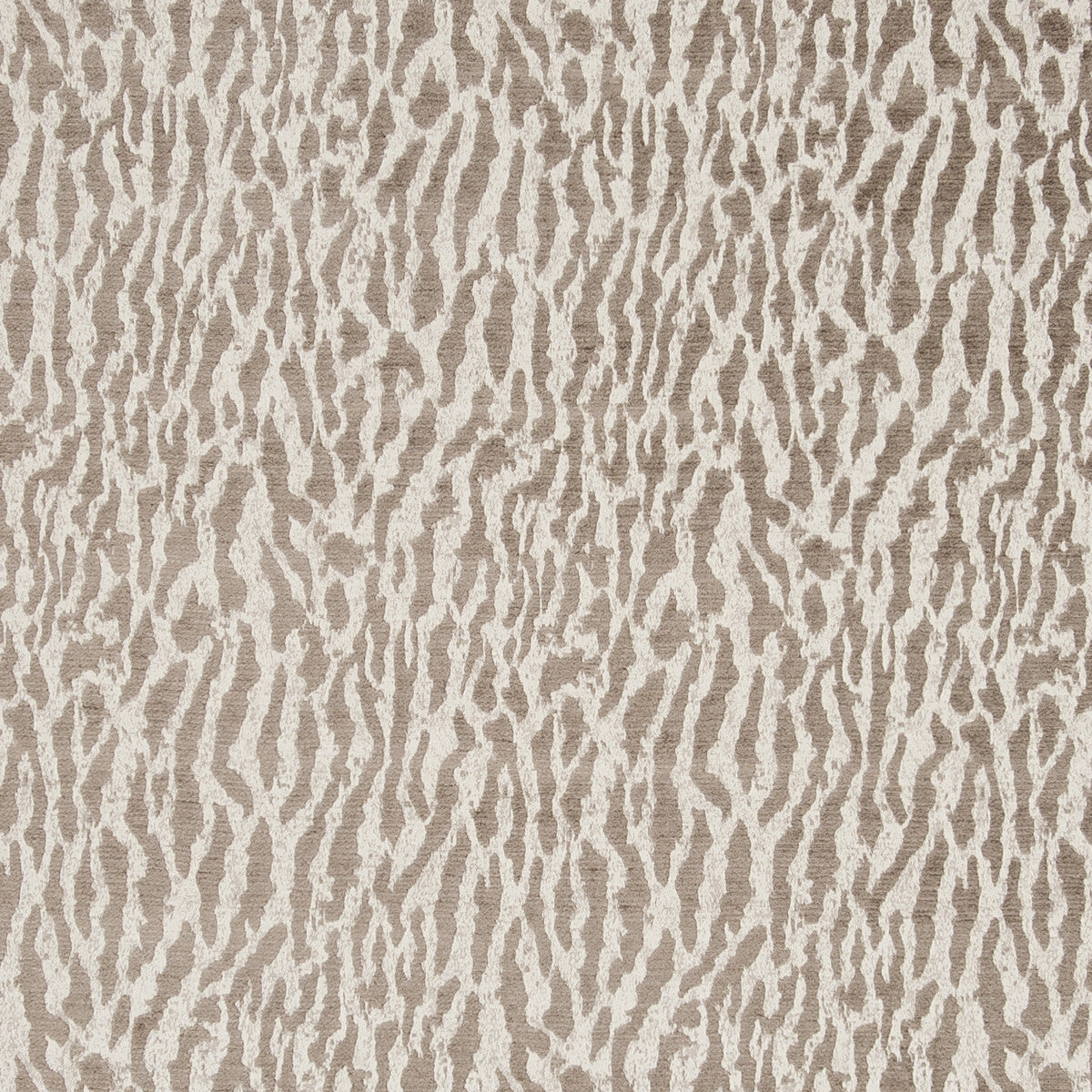 Gautier-Taupe