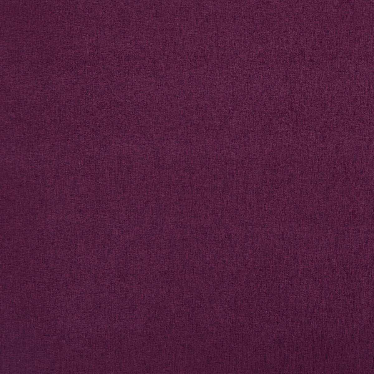 Highlander-Berry