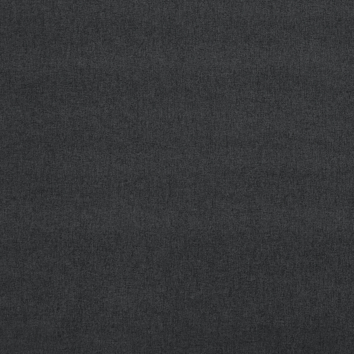 Highlander-Ebony