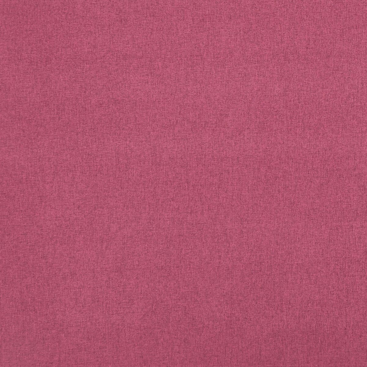 Highlander-Fuchsia