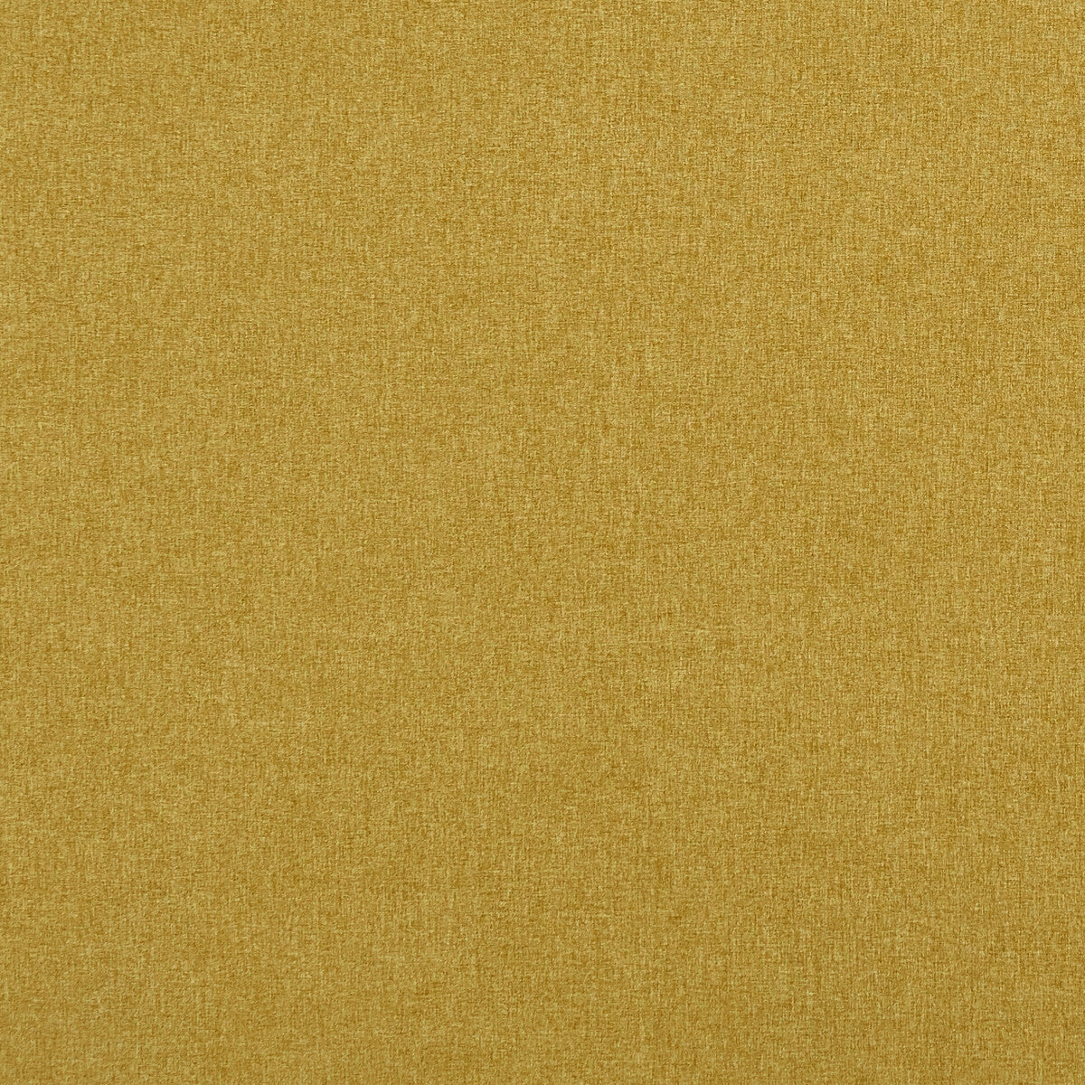 Highlander-Gold