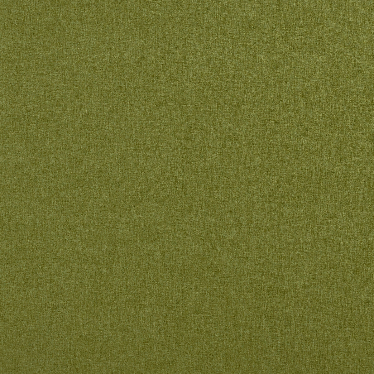 Highlander-Olive