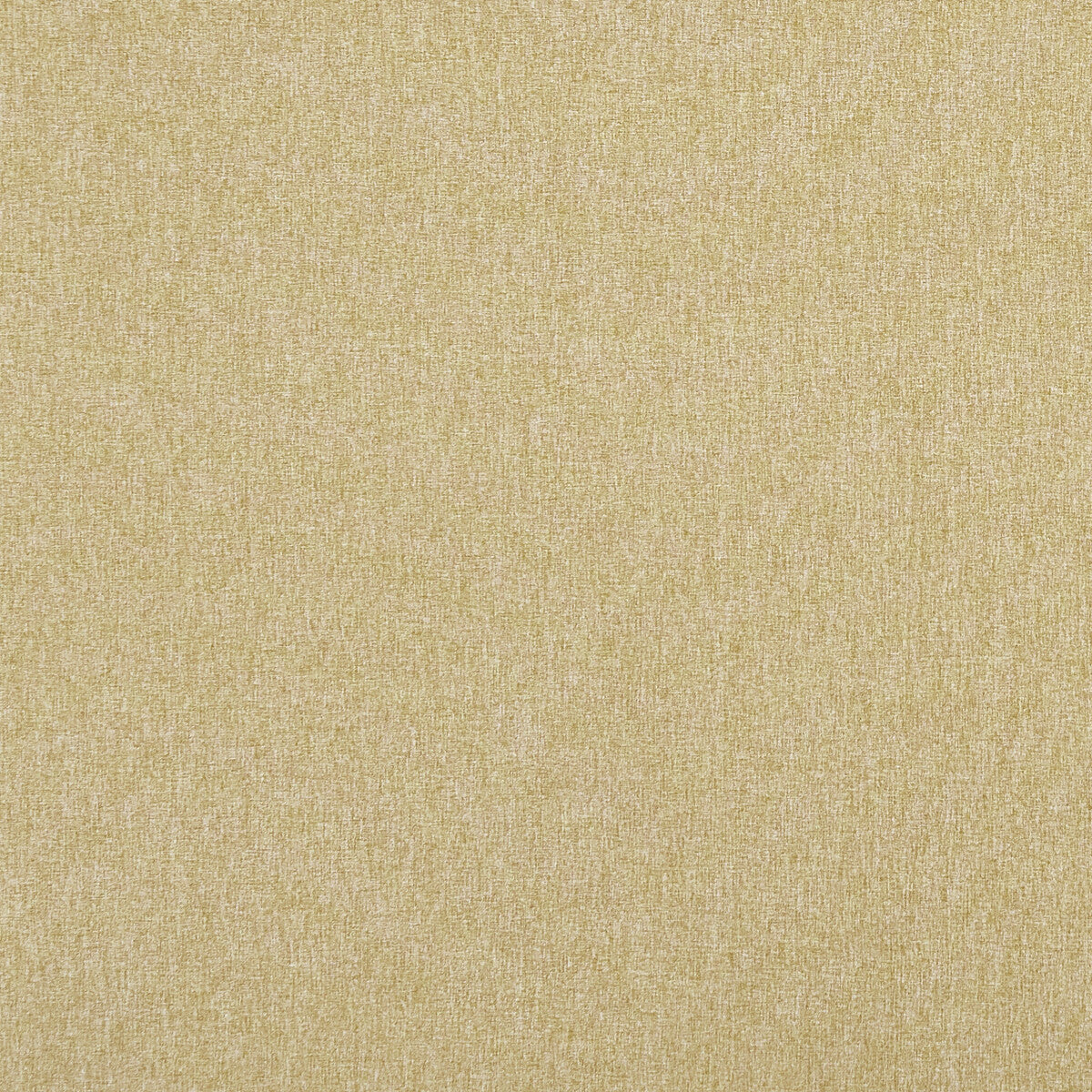 Highlander-Antique