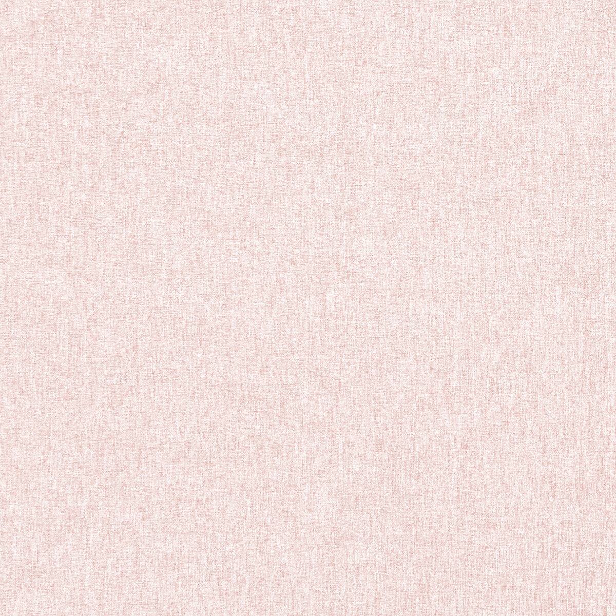 Highlander-Blush