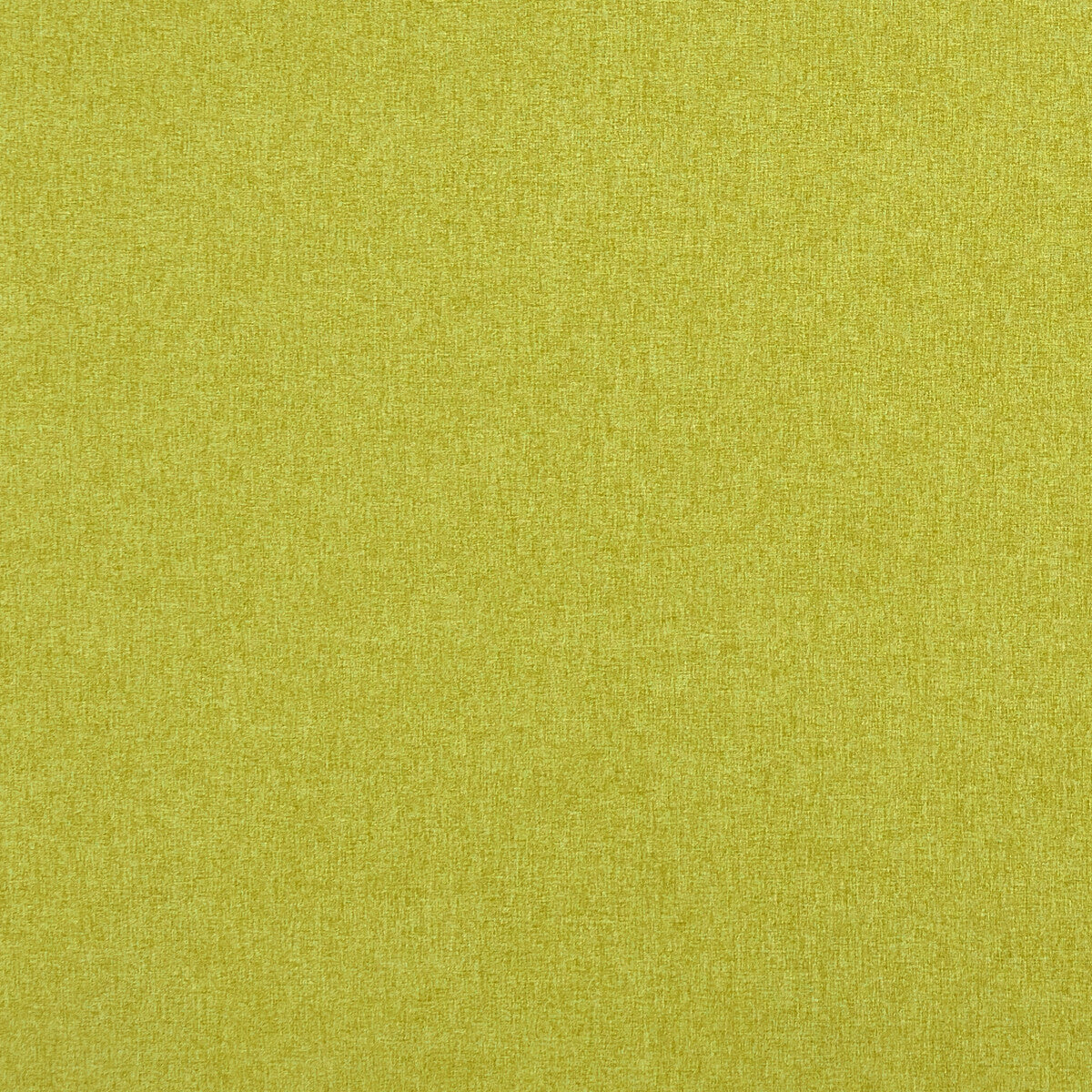 Highlander-Chartreuse