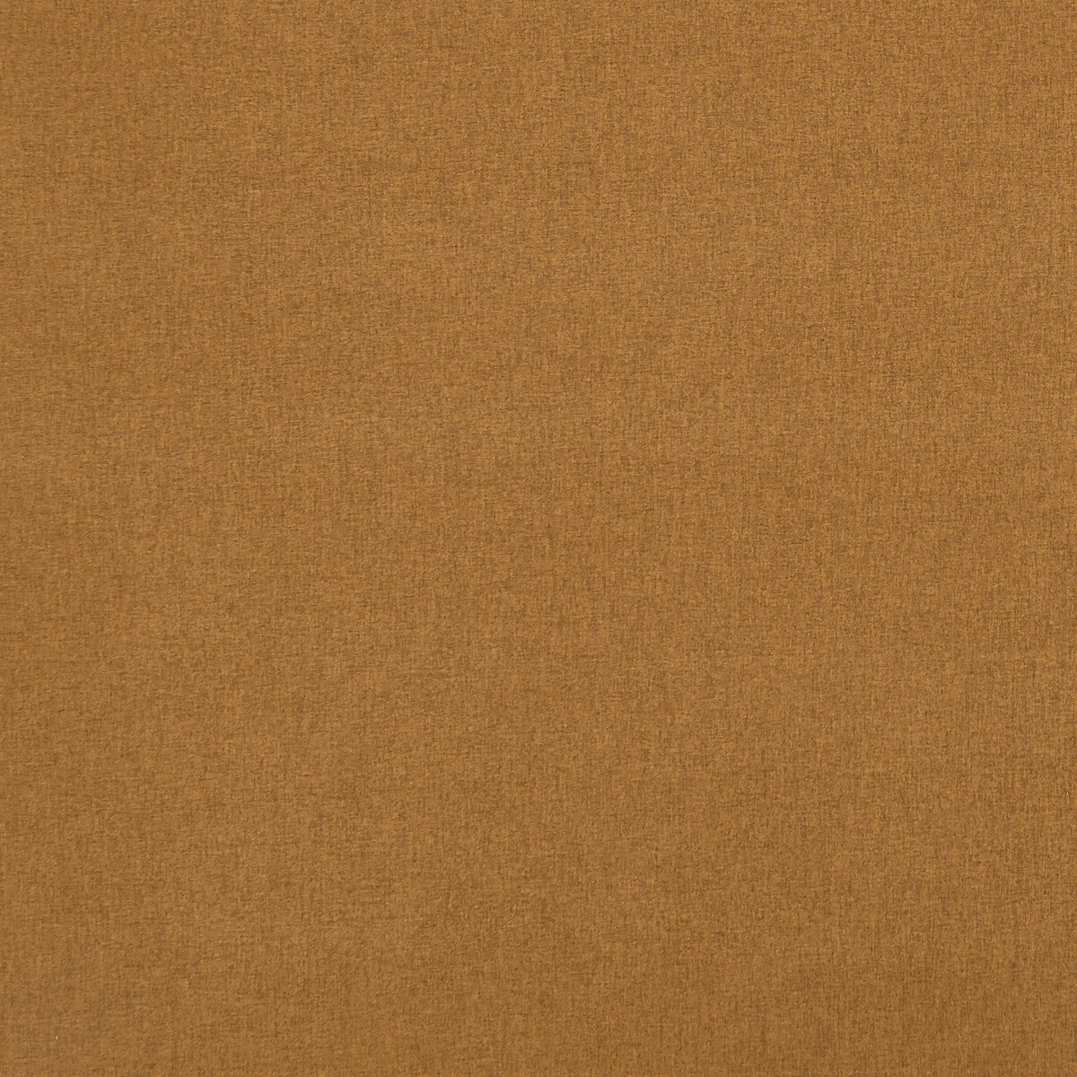 Highlander-Cinnamon