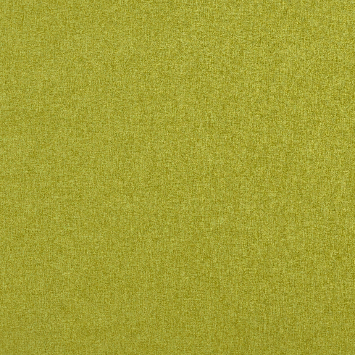 Highlander-Citron