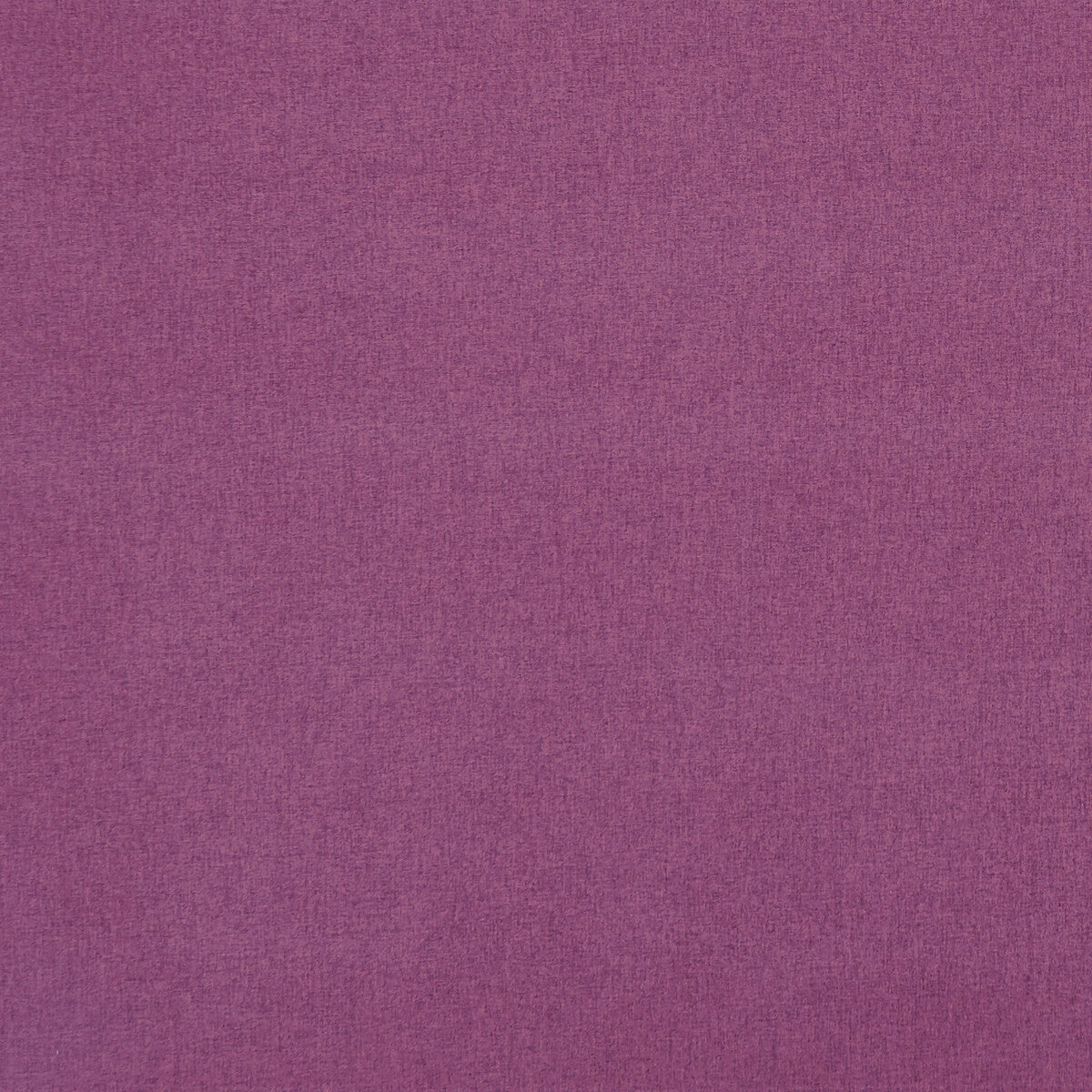 Highlander-Cranberry