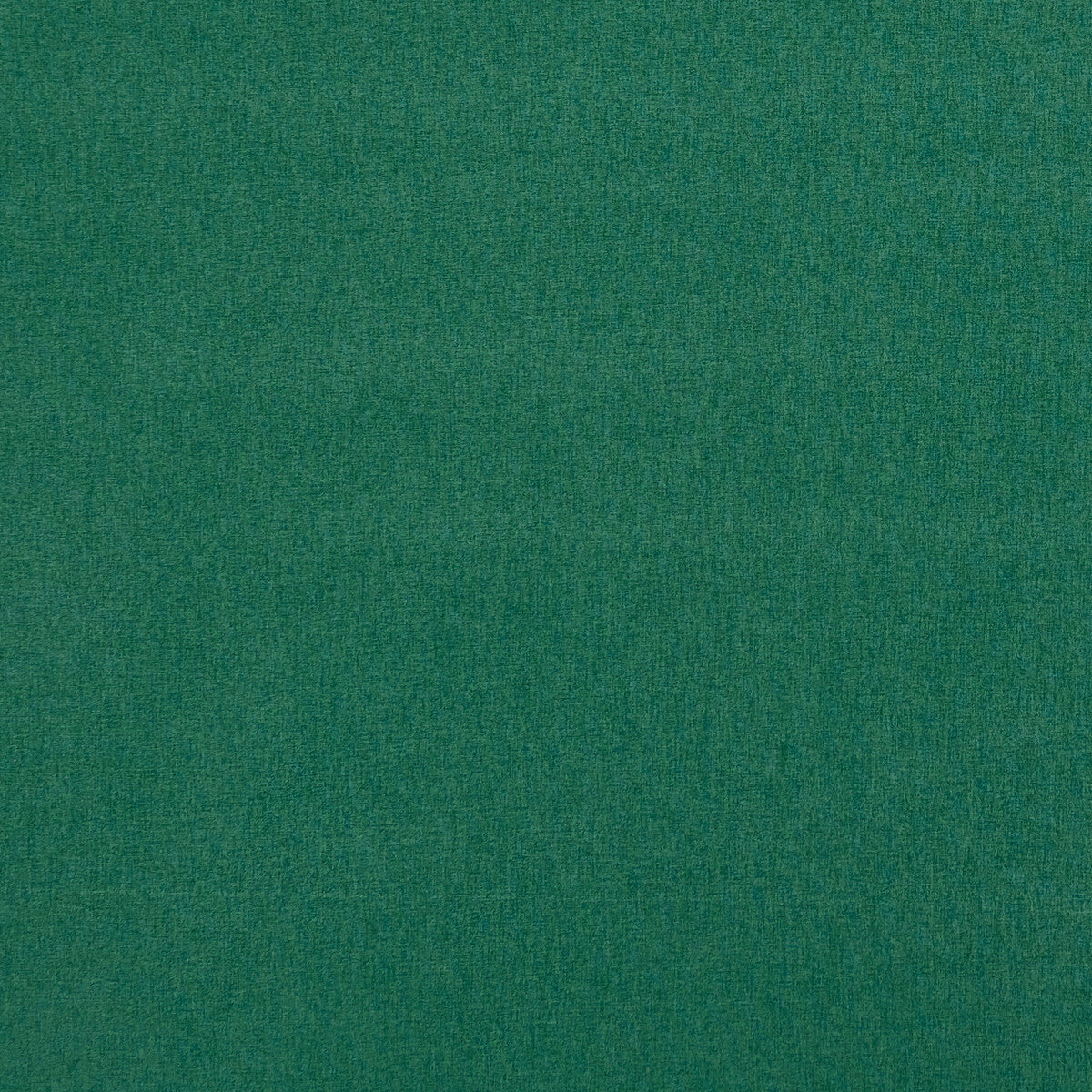 Highlander-Glade