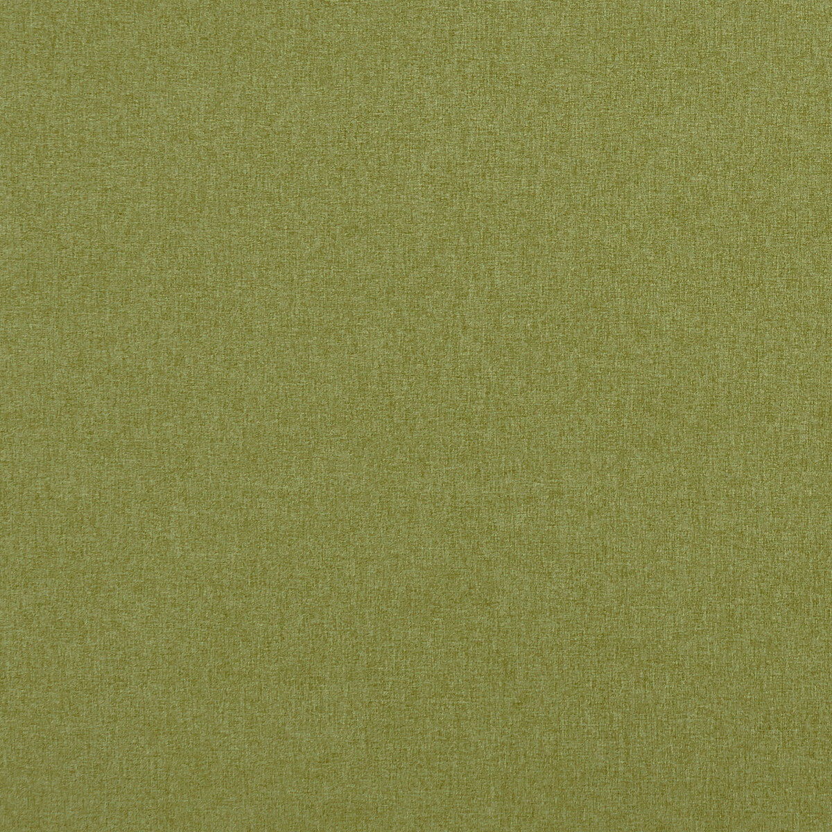 Highlander-Leaf