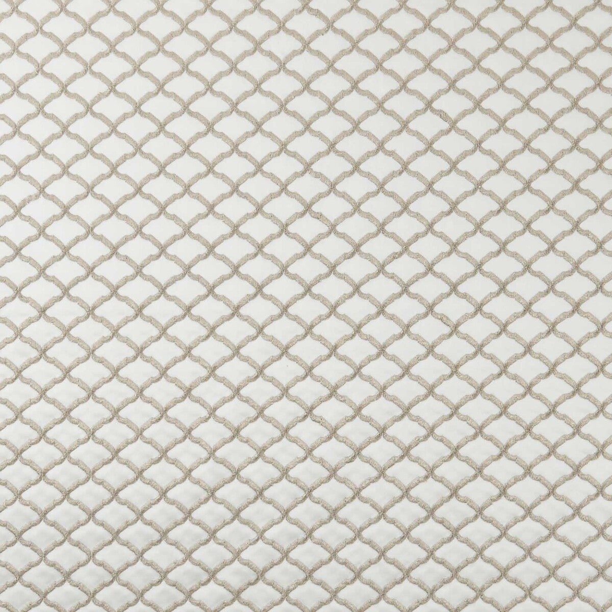 Reggio-Ivory