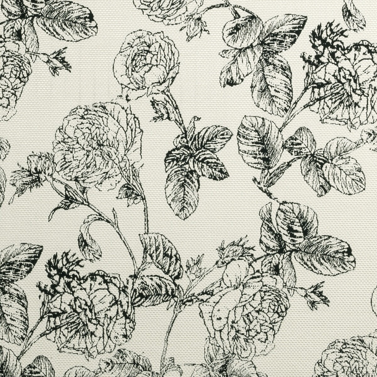 Bw1035-Black/White