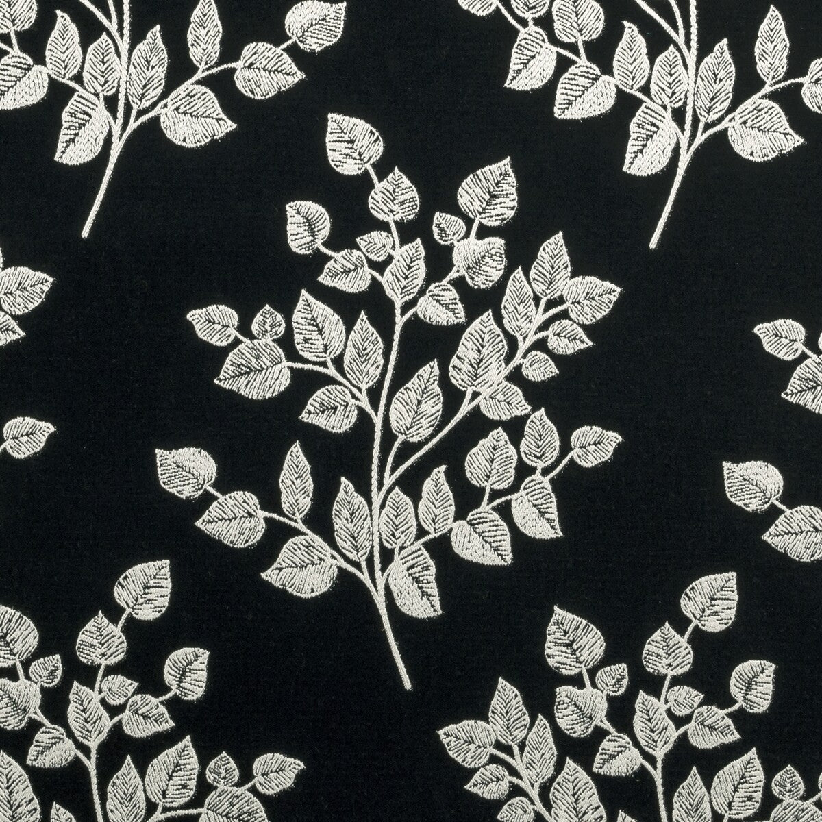 Bw1036-Black/White