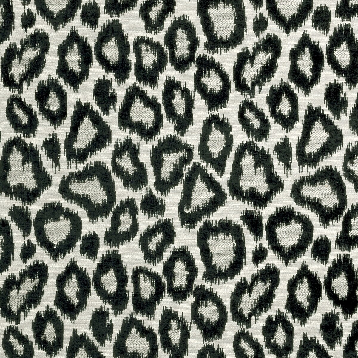 Bw1039-Black/White