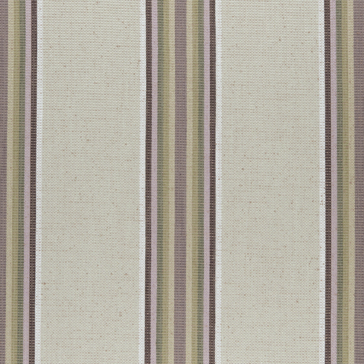 Imani-Orchid/Willow