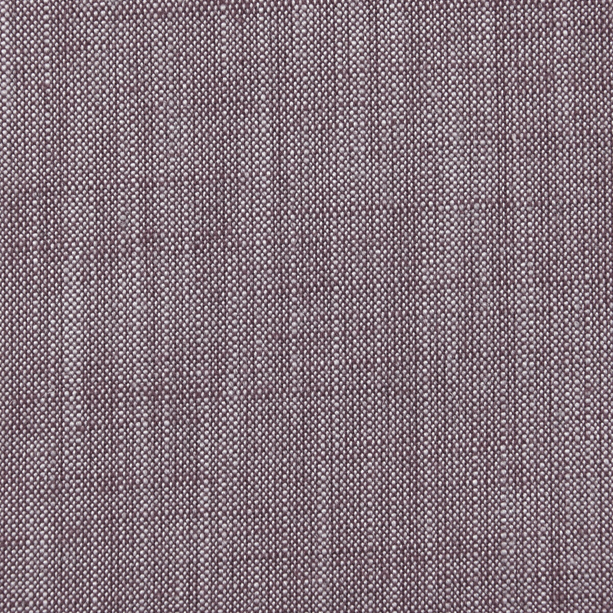 Biarritz-Aubergine