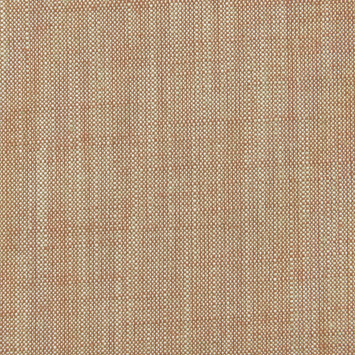 Biarritz-Cinnamon