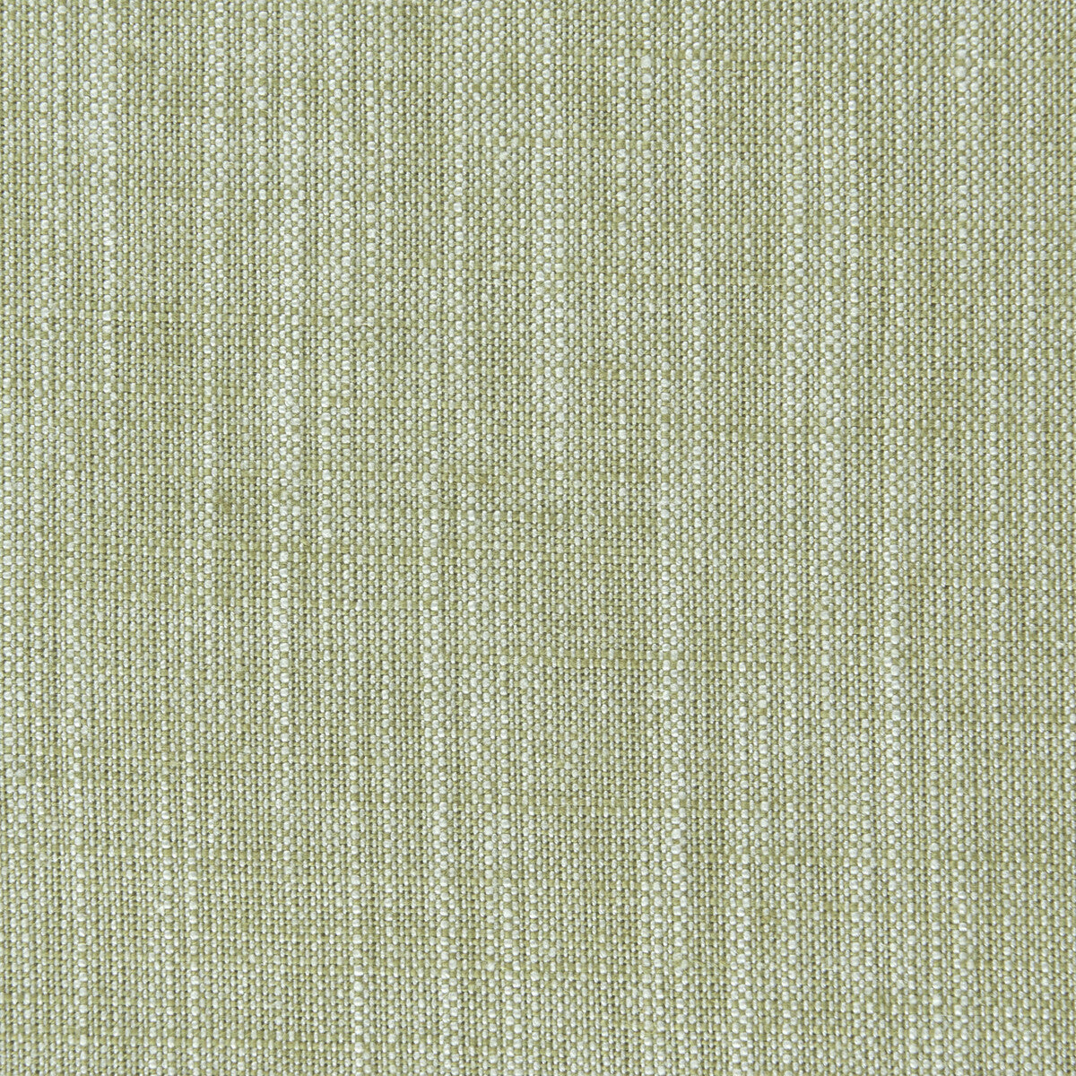 Biarritz-Eucalyptus