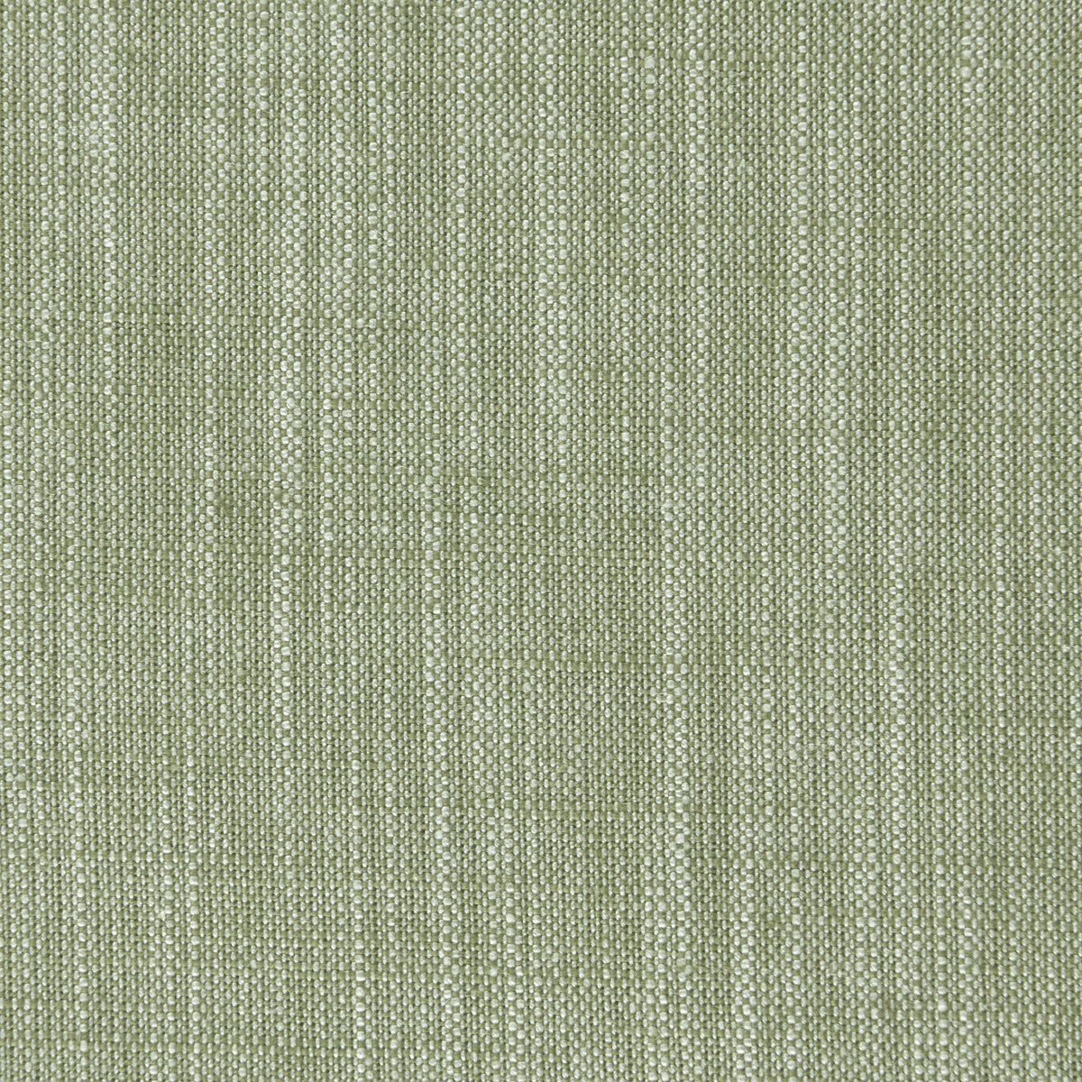 Biarritz-Parsley