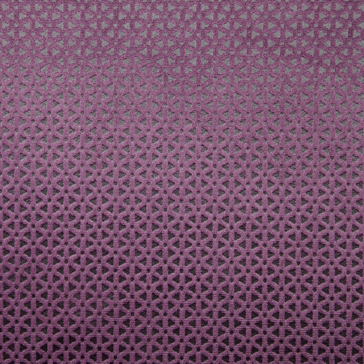 Loreto-Aubergine
