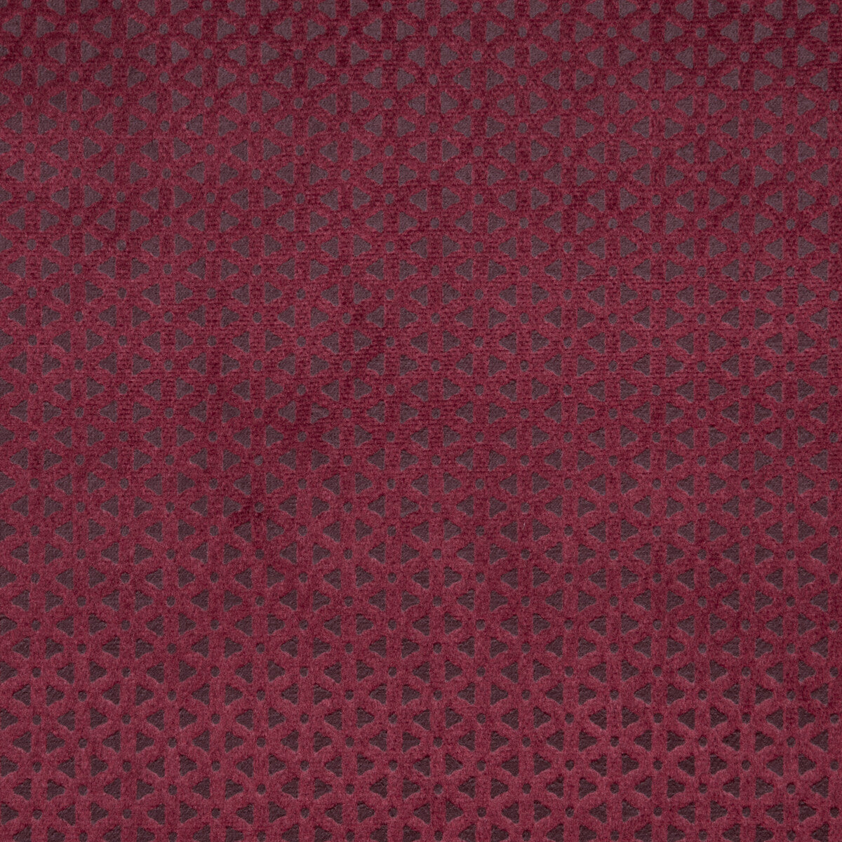 Loreto-Mulberry