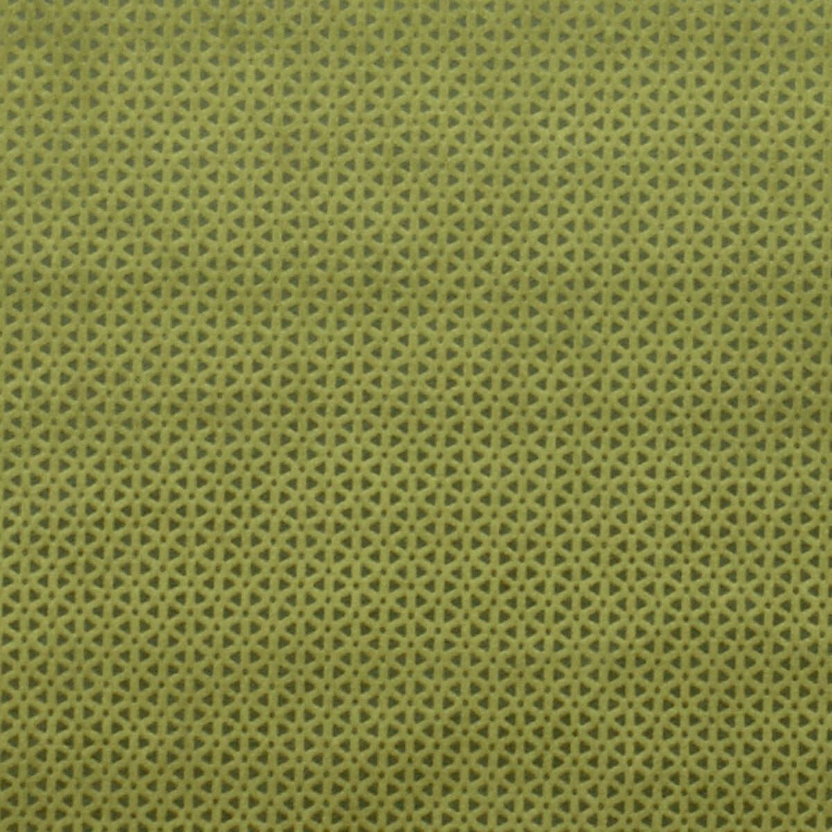 Loreto-Olive