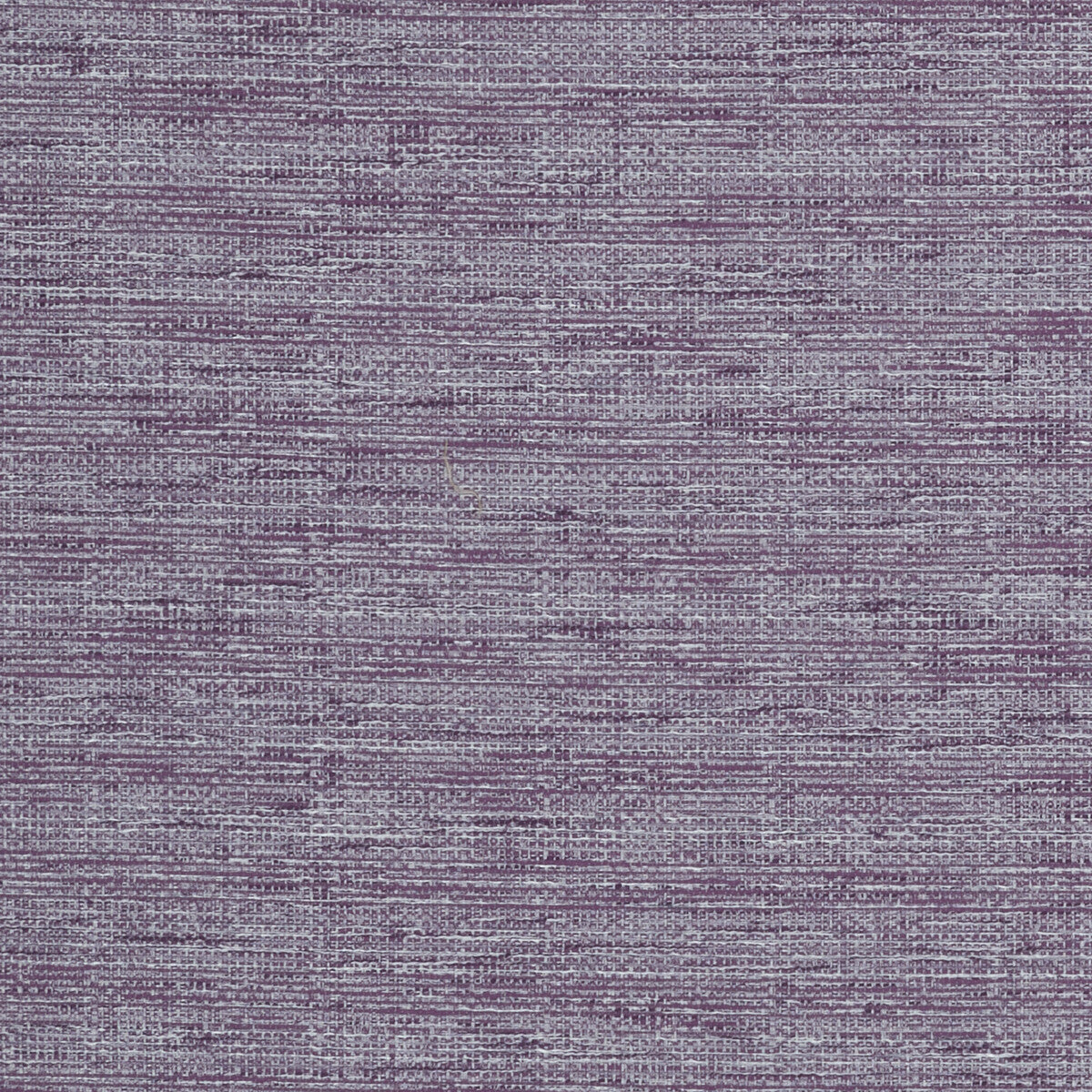 Aldo-Violet