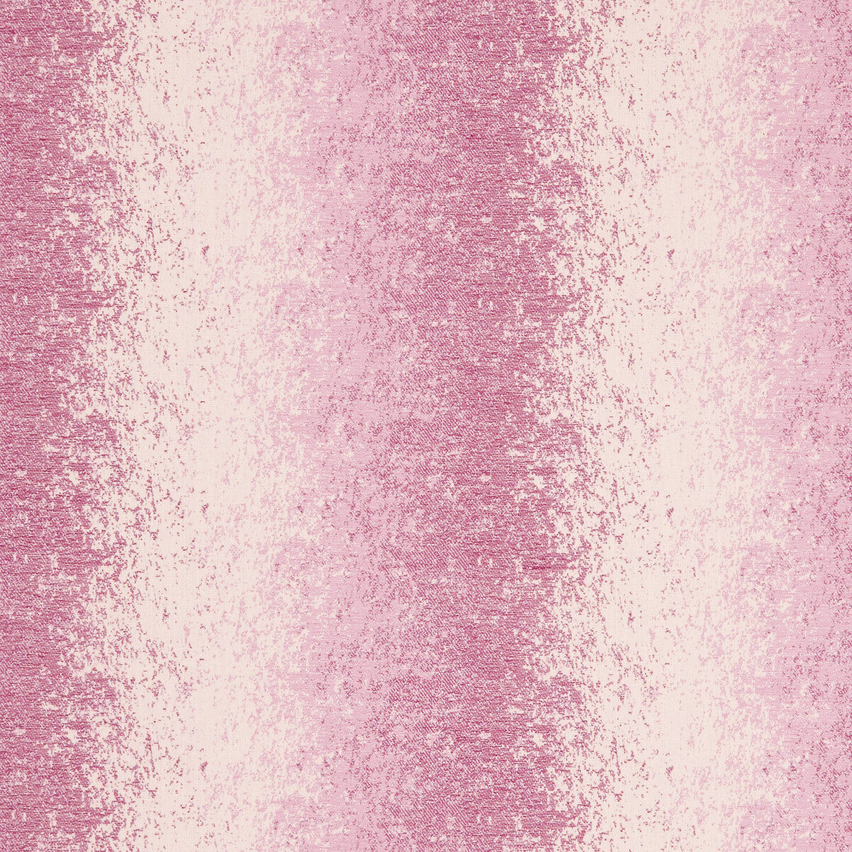 Pallas-Raspberry