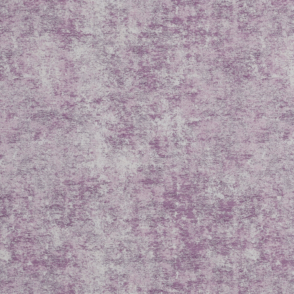Vesta-Violet