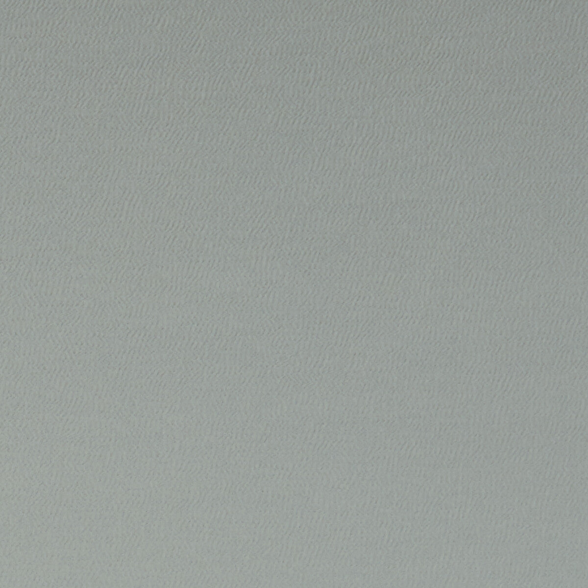 Spectrum-Birch