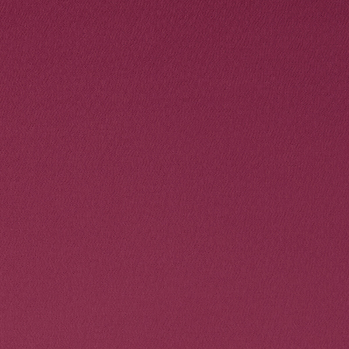 Spectrum-Fuchsia