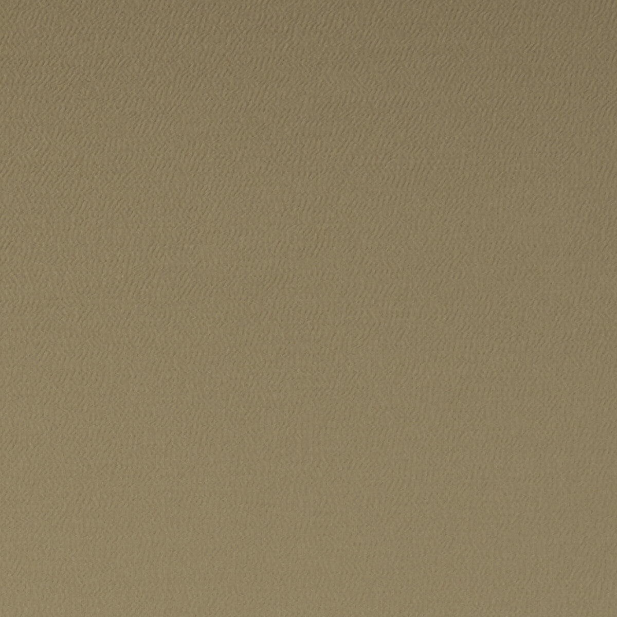 Spectrum-Pecan