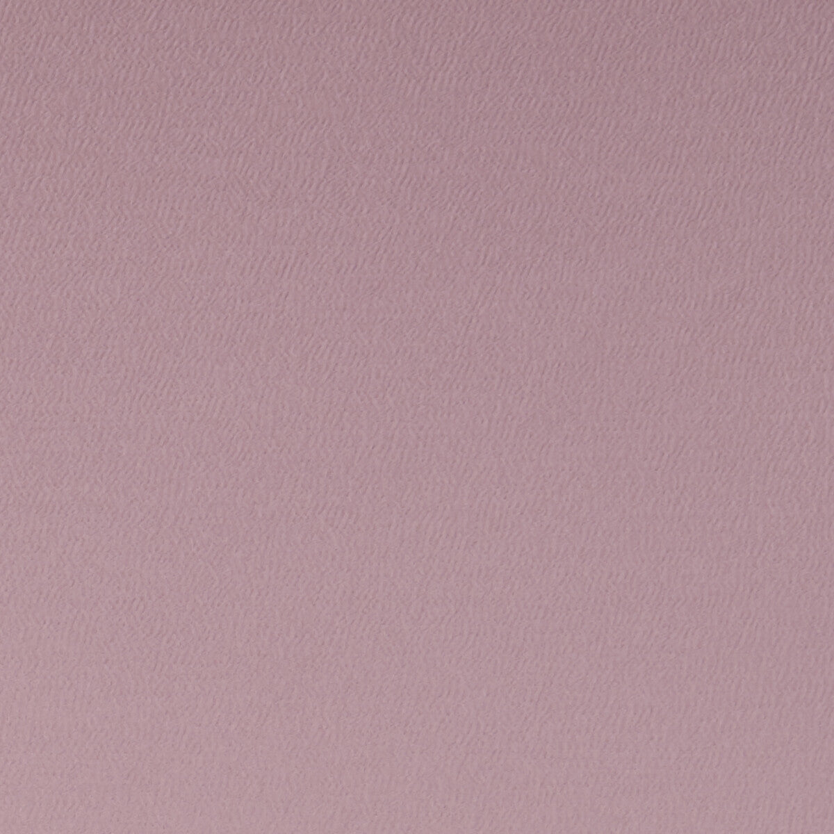Spectrum-Rose