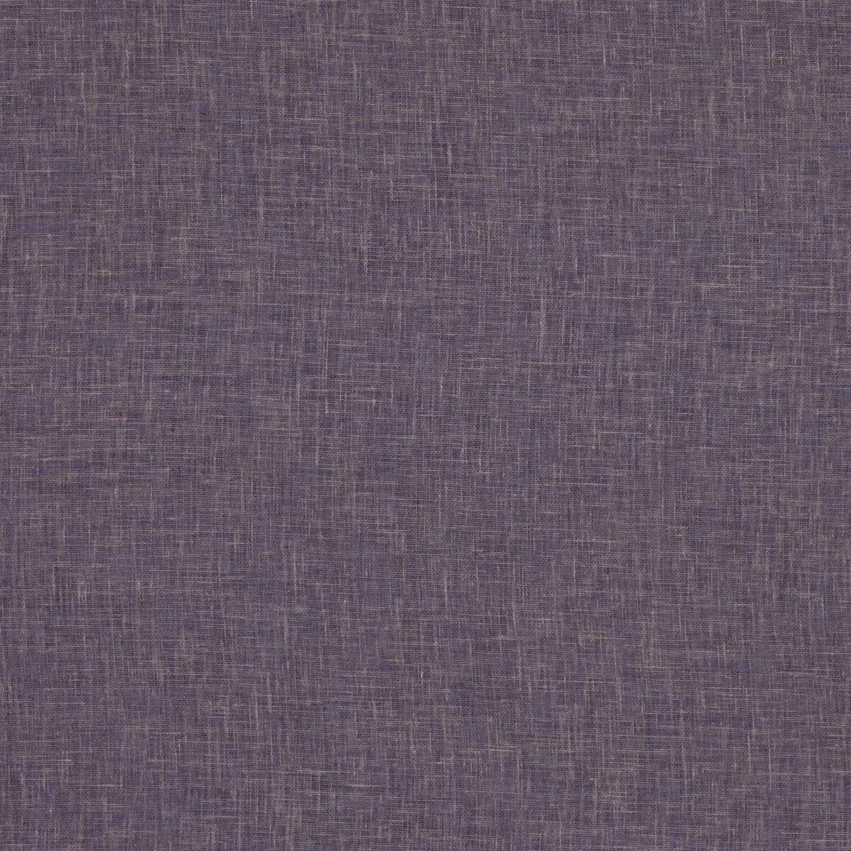 Midori-Heather