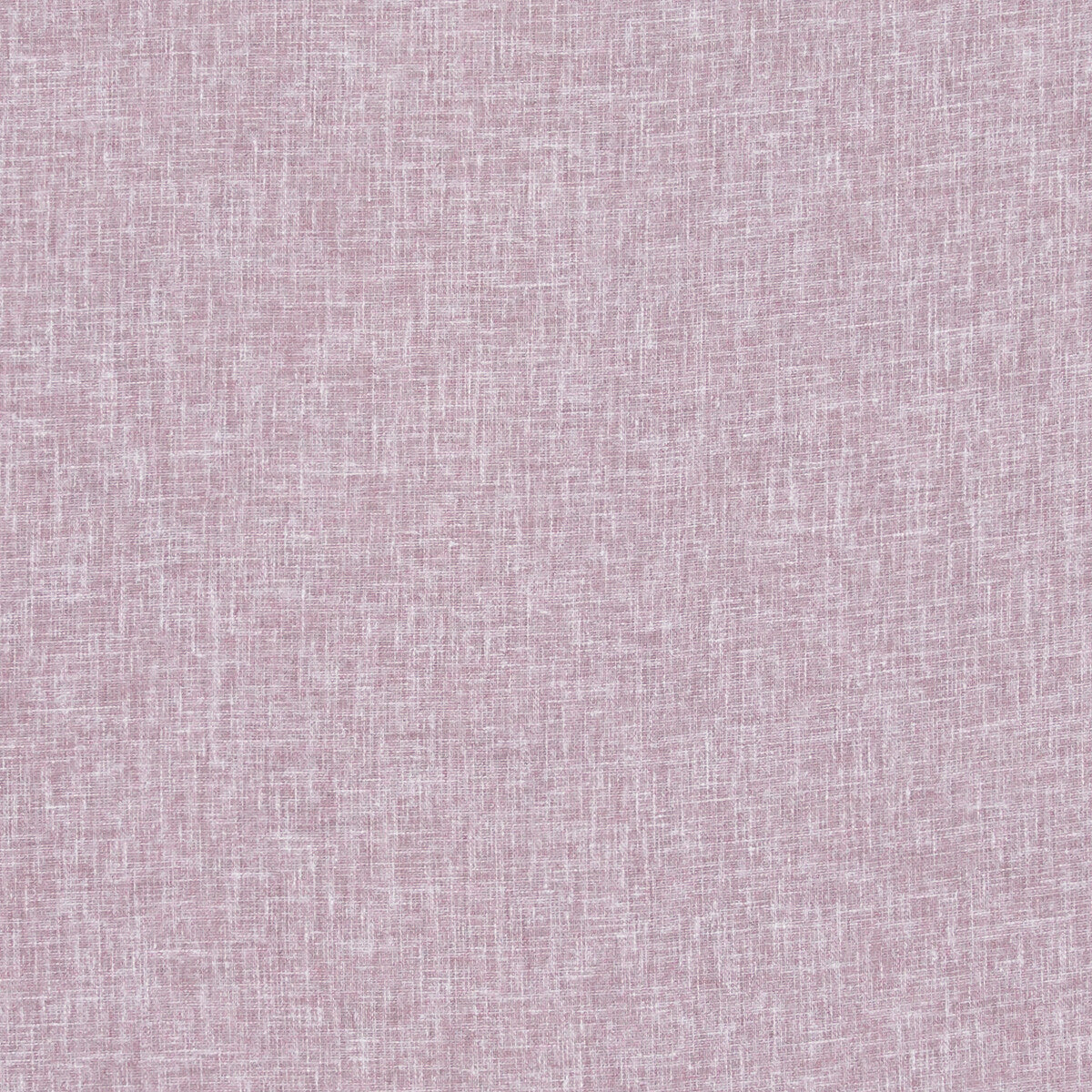 Midori-Lilac