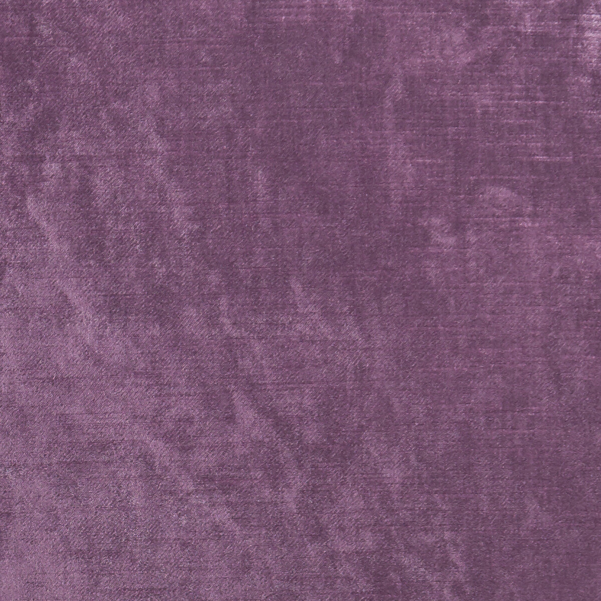 Allure-Berry