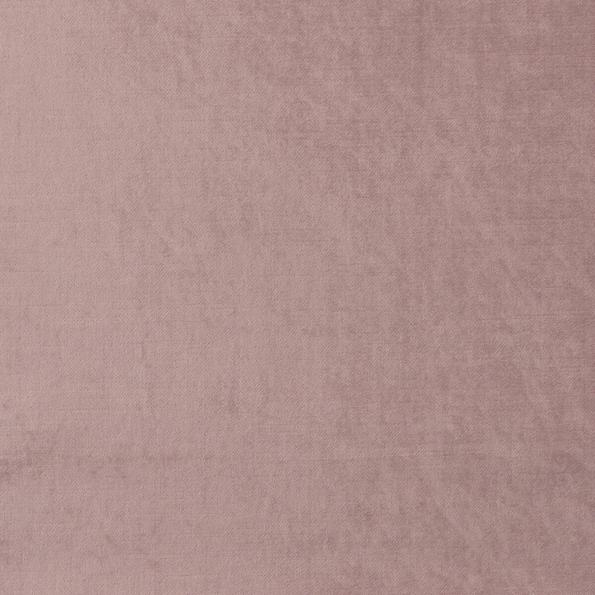 Allure-Blush
